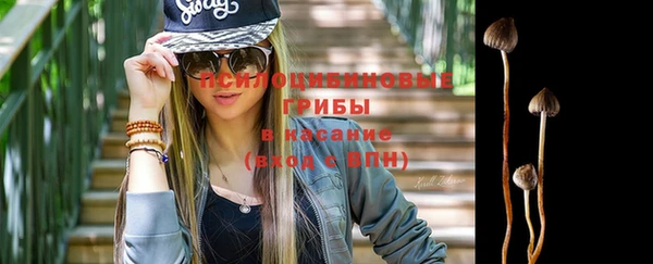apvp Переславль-Залесский