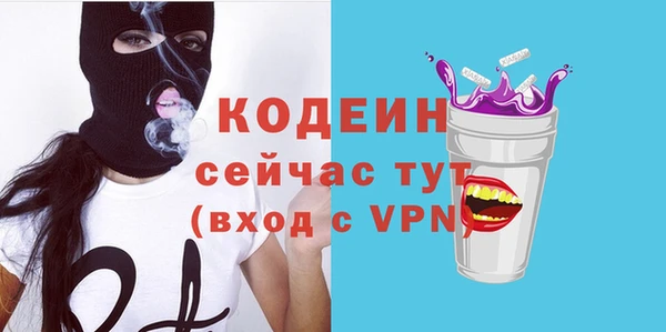 соль ск Пестово