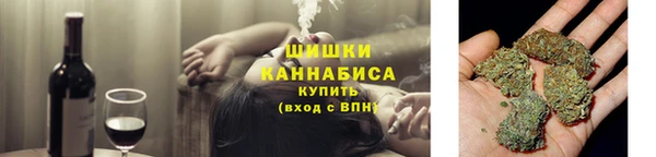 соль ск Пестово