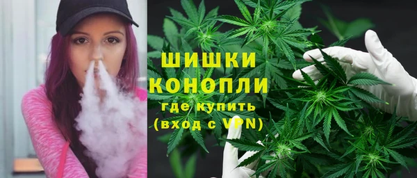 соль ск Пестово
