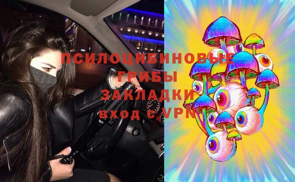 соль ск Пестово